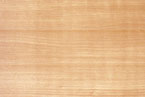 Maple.